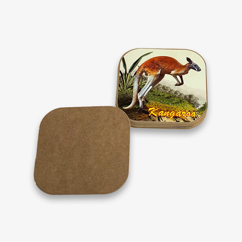 Animal Illustrations Coaster Set