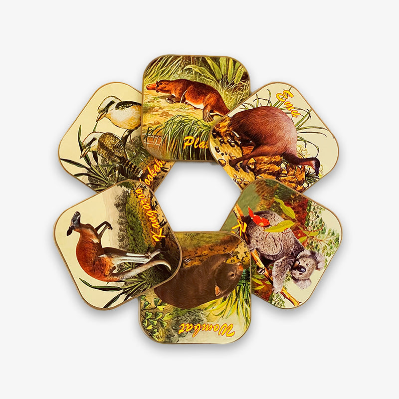 Animal Illustrations Coaster Set