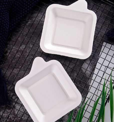 Elegance Disposable Tableware Set